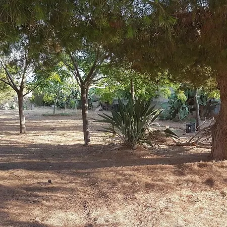 Vacanze A Torre San Giovanni Ugento